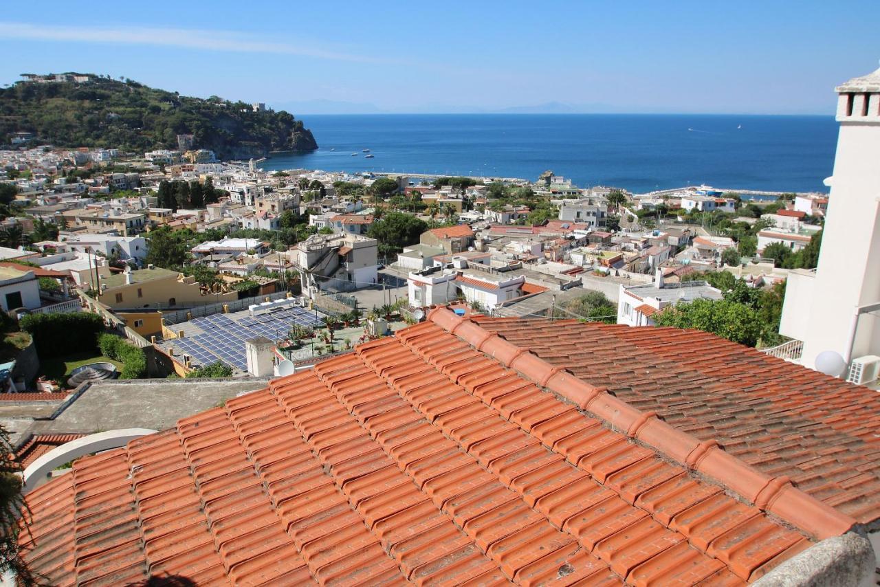 Lacco Terrace Solarium Lacco Ameno  Exterior photo