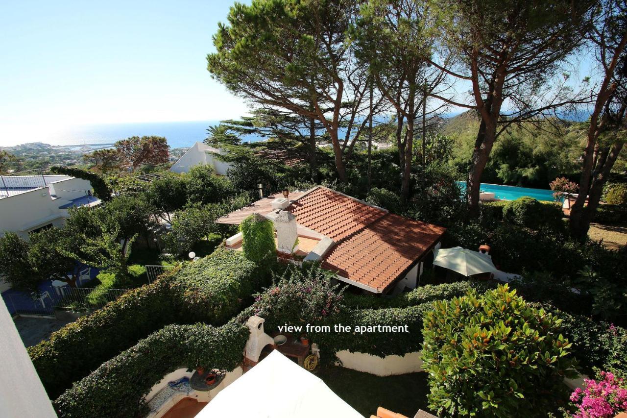 Lacco Terrace Solarium Lacco Ameno  Exterior photo